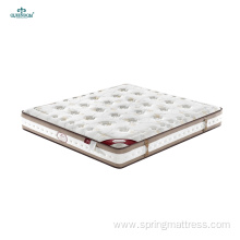 Single for Kids Comfort Foam Pocket Spring Mattresses